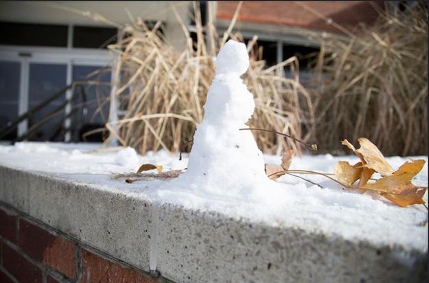明尼苏达大学的冬日景色
